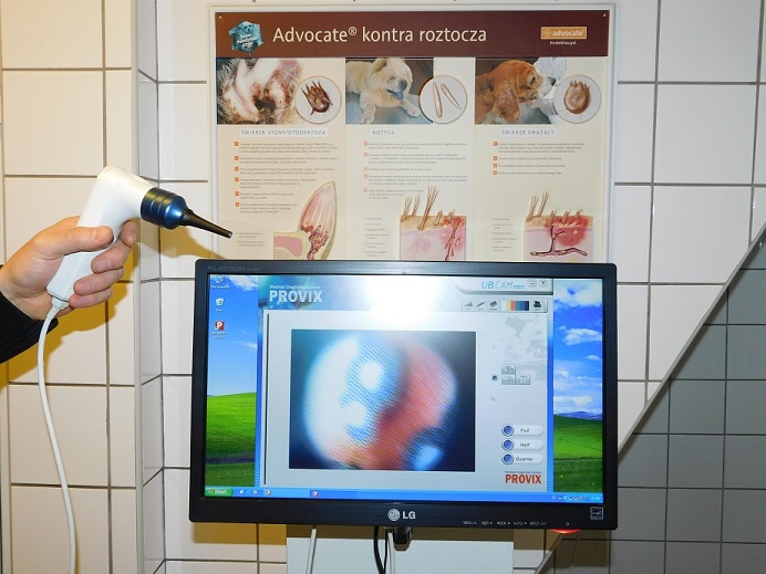 Videootoskop